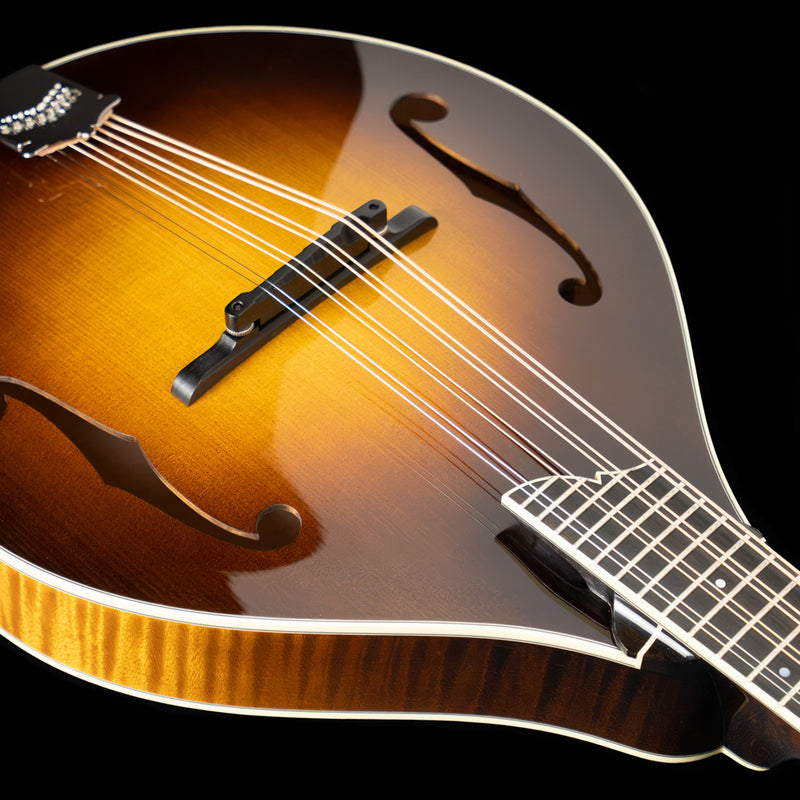 Collings MT2 Mandola, Adirondack Spruce, Maple - NEW – Acoustic