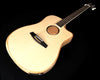 L.R. Baggs AEG-1 Hybrid Electric/Acoustic Guitar, Engelmann Spruce - NEW