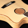 L.R. Baggs AEG-1 Hybrid Electric/Acoustic Guitar, Engelmann Spruce - NEW