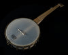 Pisgah Appalachian 11" Open Back Banjo, Maple - NEW