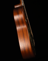 Beard Trailhead Mahogany, R Body Round Neck, Tobacco, Fishman Nashville Pickup - NEW