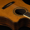 2000 Larrivée DV-10, Bearclaw Sitka Spruce, Indian Rosewood - USED
