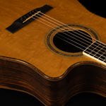 2000 Larrivée DV-10, Bearclaw Sitka Spruce, Indian Rosewood - USED