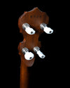 2002 Deering Sierra 11" Bluegrass Banjo, Mahogany - USED