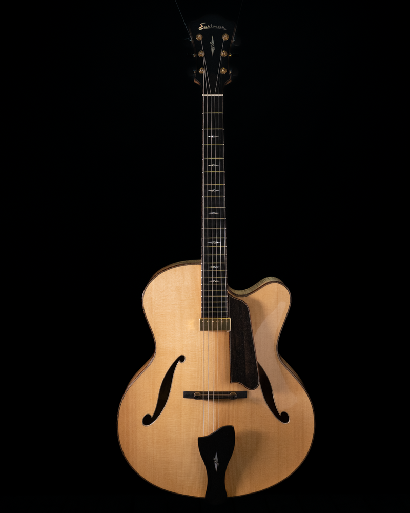 Eastman AR910CE TC, 17 Eastman AR910CE TC, 17