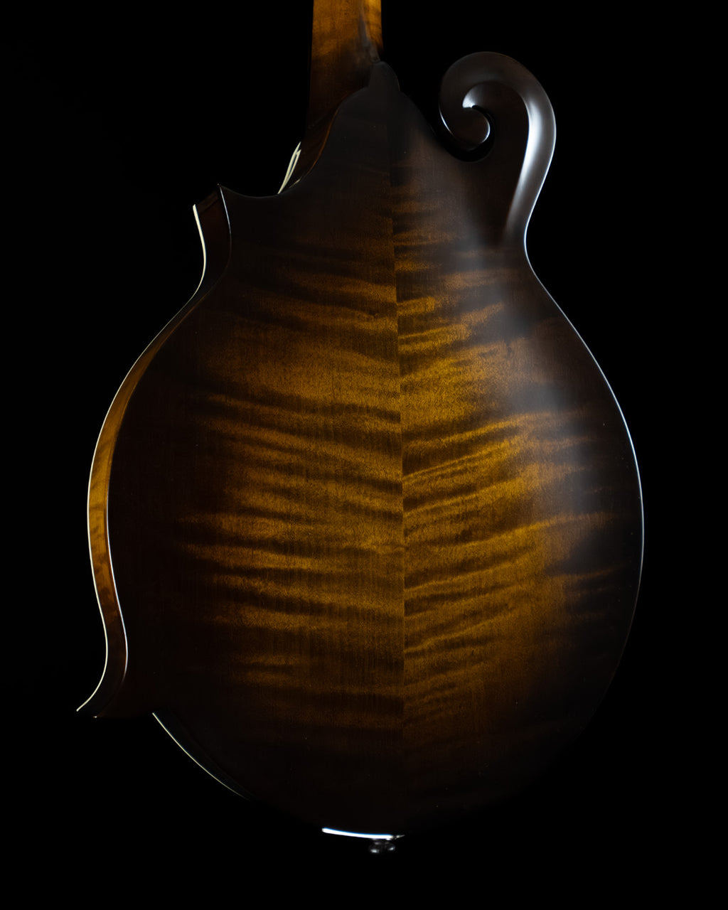 Northfield NFS-F5, Adirondack Spruce, Figured Maple - NEW