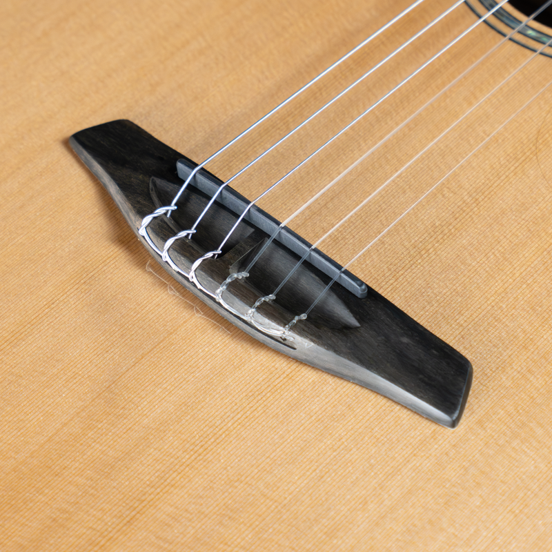 Furch GNc 4-CRA Grand Nylon Crossover, Cedar, Indian Rosewood