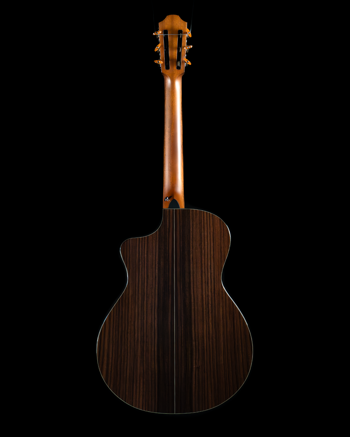 Furch GNc 4-CRA Grand Nylon Crossover, Cedar, Indian Rosewood