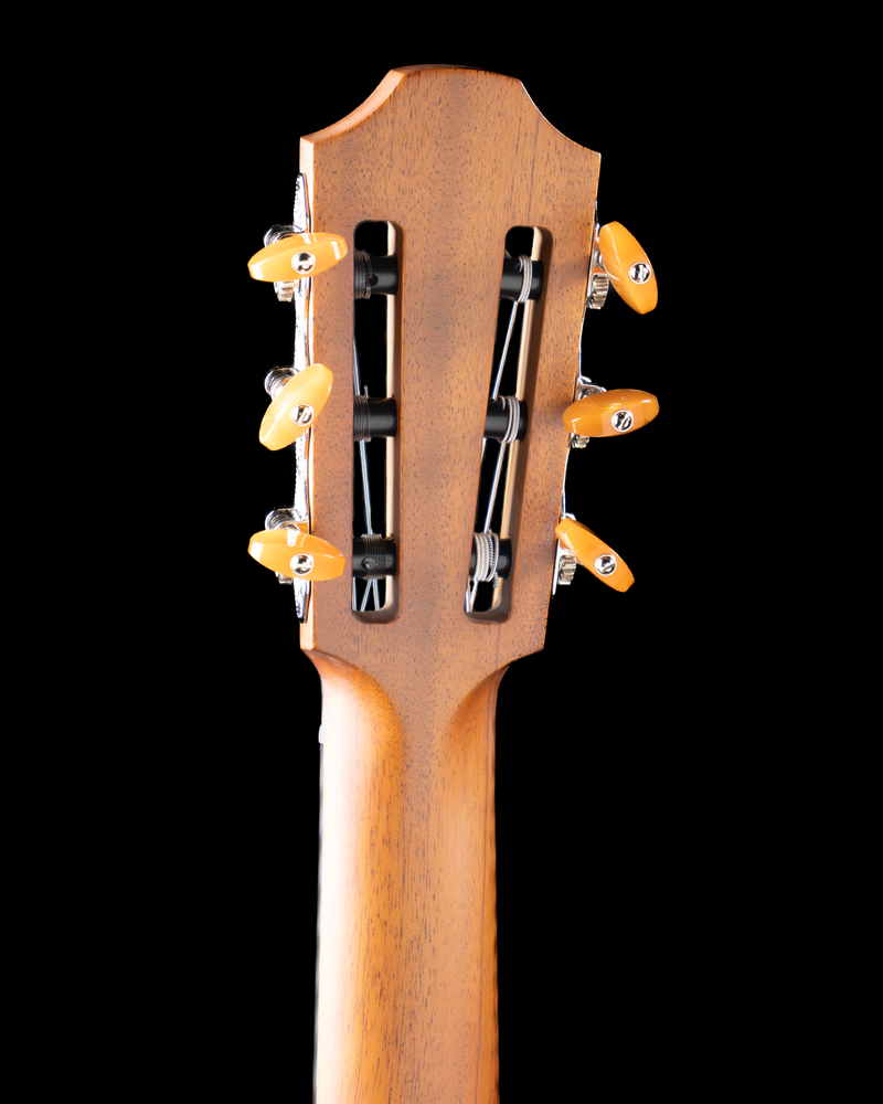 Furch GNc 4-CRA Grand Nylon Crossover, Cedar, Indian Rosewood