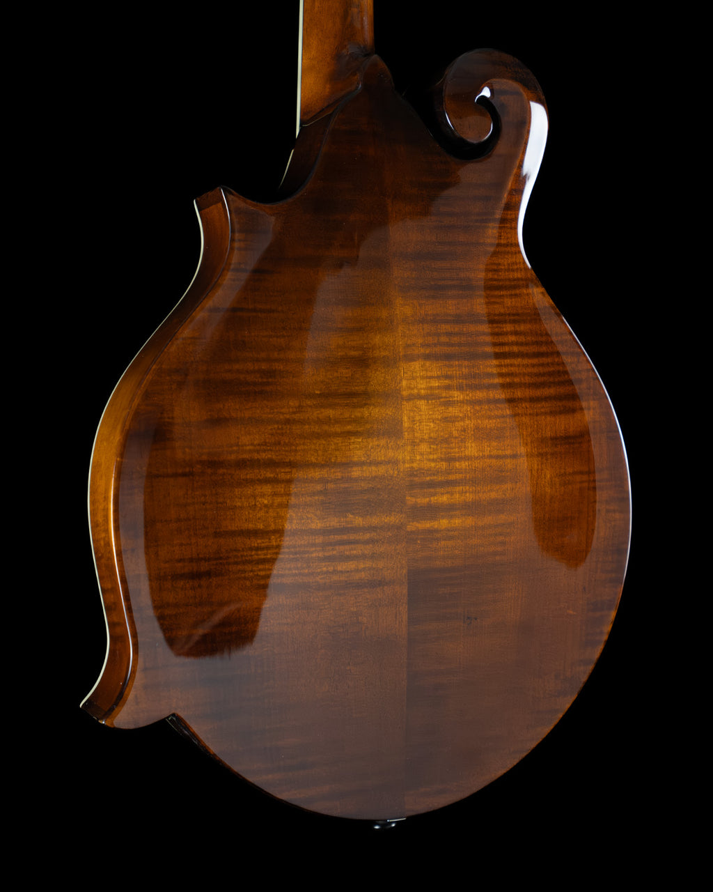 Eastman MD-514 Limited, Black Top, Spruce, Maple - NEW