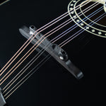 Eastman MD-514 Limited, Black Top, Spruce, Maple - NEW