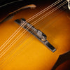 Eastman MD515/TV Wide Neck, Spruce, Maple - NEW