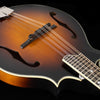 Eastman MD515/TV Wide Neck, Spruce, Maple - NEW