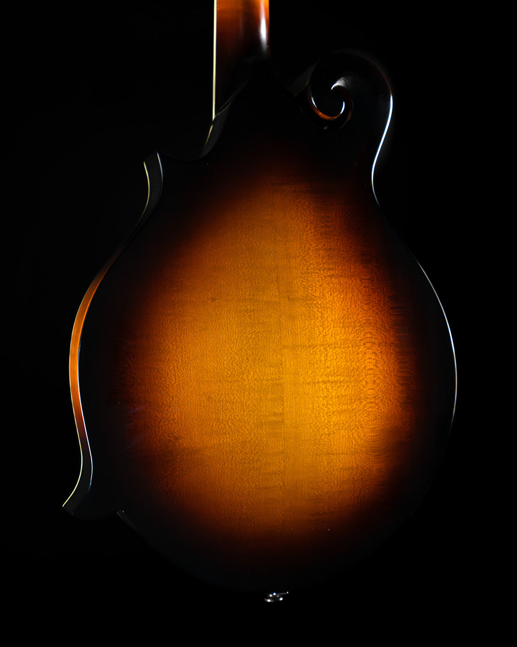 Eastman MD515/TV Wide Neck, Spruce, Maple - NEW