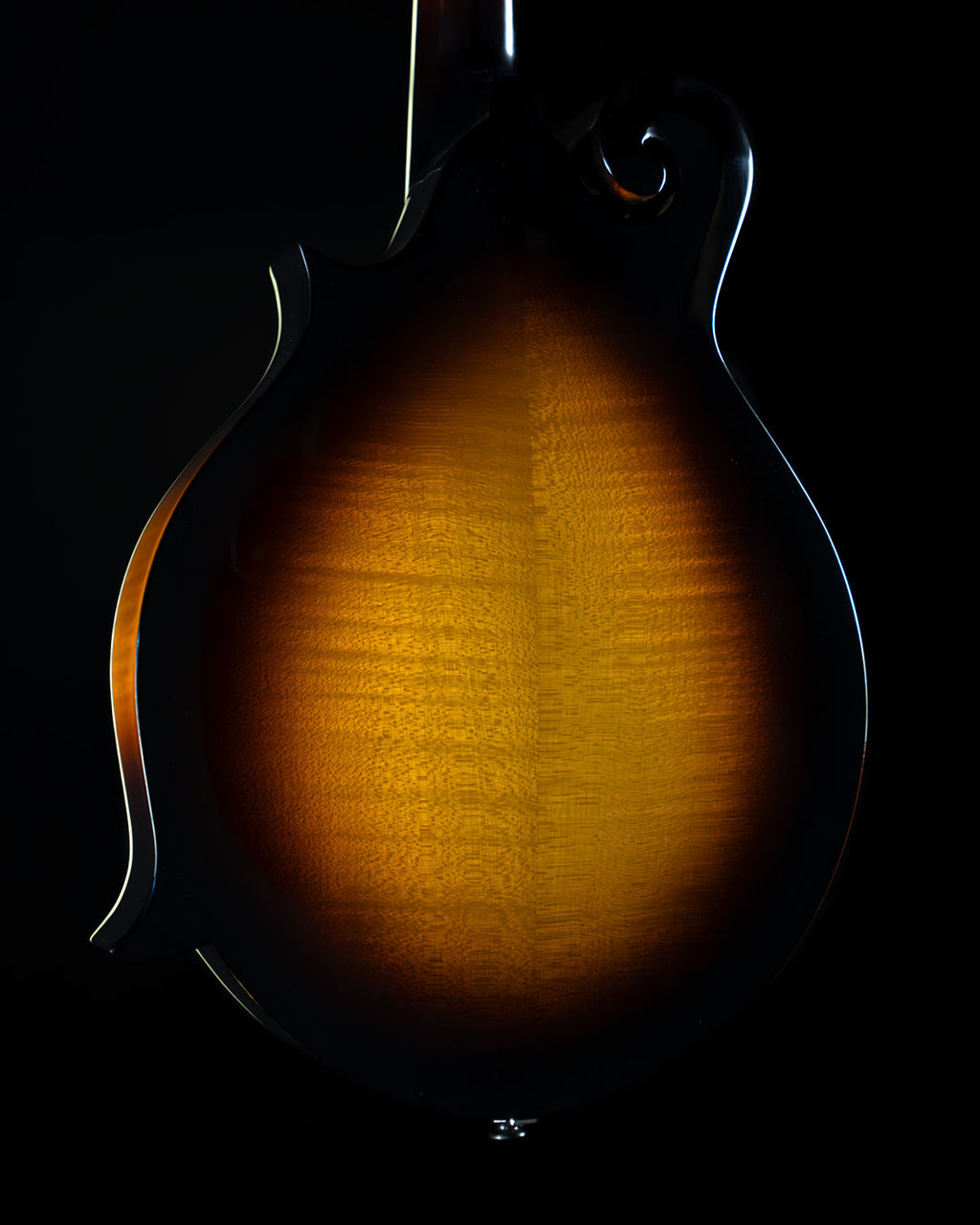 Eastman MD515/TV Wide Neck, Spruce, Maple - NEW