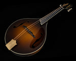 Collings MT2, Torrefied Adirondack Spruce, Maple, James Tailpiece - NEW