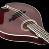 Collings MT2-O, Oval Hole Mandolin, Adirondack Spruce, Maple - NEW