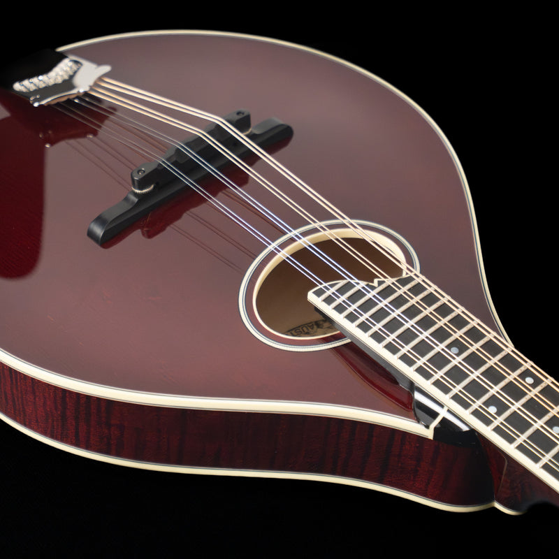 Collings MT2-O, Oval Hole Mandolin, Adirondack Spruce, Maple - NEW