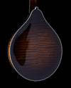 Collings MT2, Torrefied Adirondack Spruce, Maple, James Tailpiece - NEW