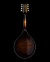 Collings MT2, Torrefied Adirondack Spruce, Maple, James Tailpiece - NEW