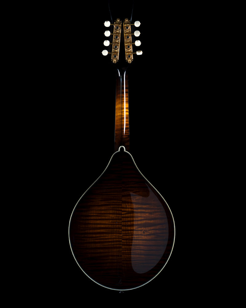 Collings MT2, Torrefied Adirondack Spruce, Maple, James Tailpiece - NEW