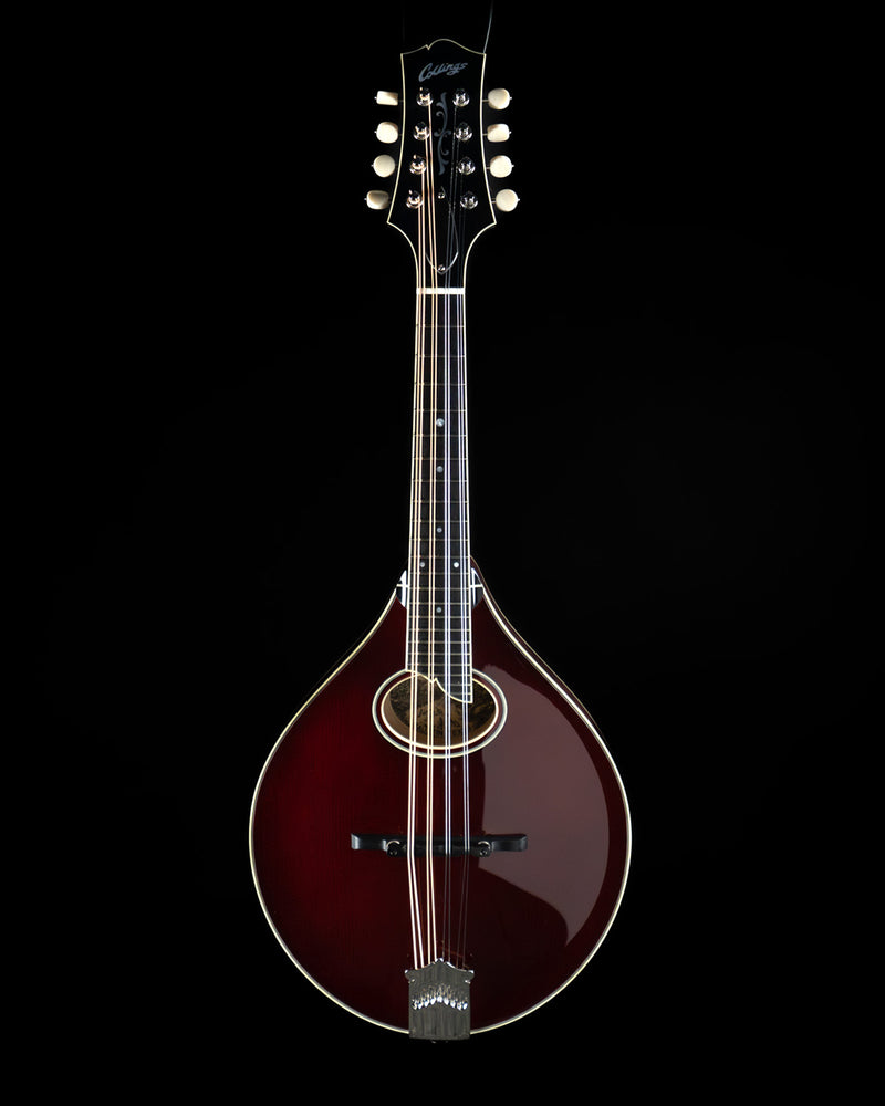 Collings MT2-O, Oval Hole Mandolin, Adirondack Spruce, Maple - NEW