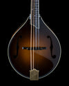 Collings MT2, Torrefied Adirondack Spruce, Maple, James Tailpiece - NEW