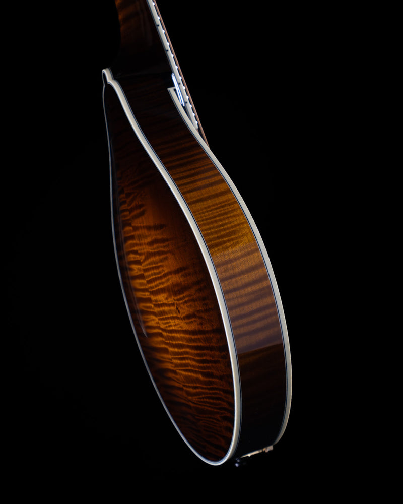 Collings MT2, Torrefied Adirondack Spruce, Maple, James Tailpiece - NEW