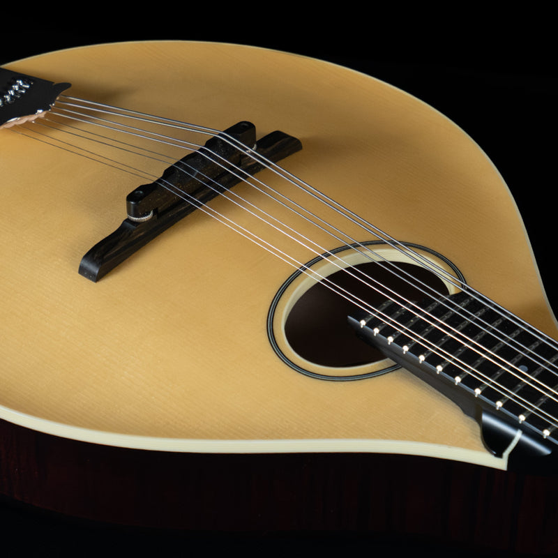 2023 Collings MT O, Oval Hole Mandolin, Engelmann Spruce, Maple - USED