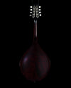 2023 Collings MT O, Oval Hole Mandolin, Engelmann Spruce, Maple - USED