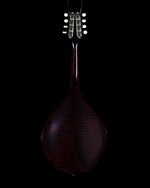 2023 Collings MT O, Oval Hole Mandolin, Engelmann Spruce, Maple - USED