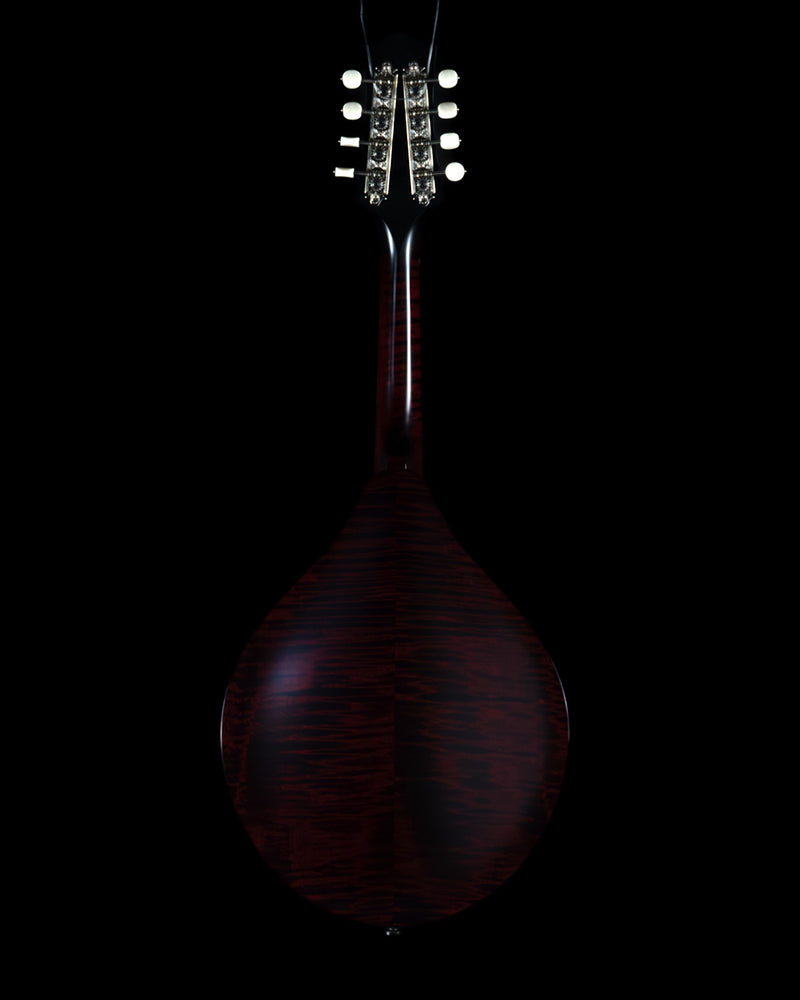 2023 Collings MT O, Oval Hole Mandolin, Engelmann Spruce, Maple - USED