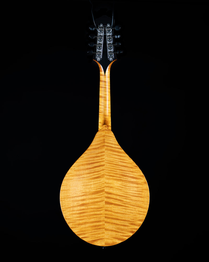 Collings MT-O, Oval Hole Mandolin, Engelmann Spruce, Maple, Amber Finish - NEW