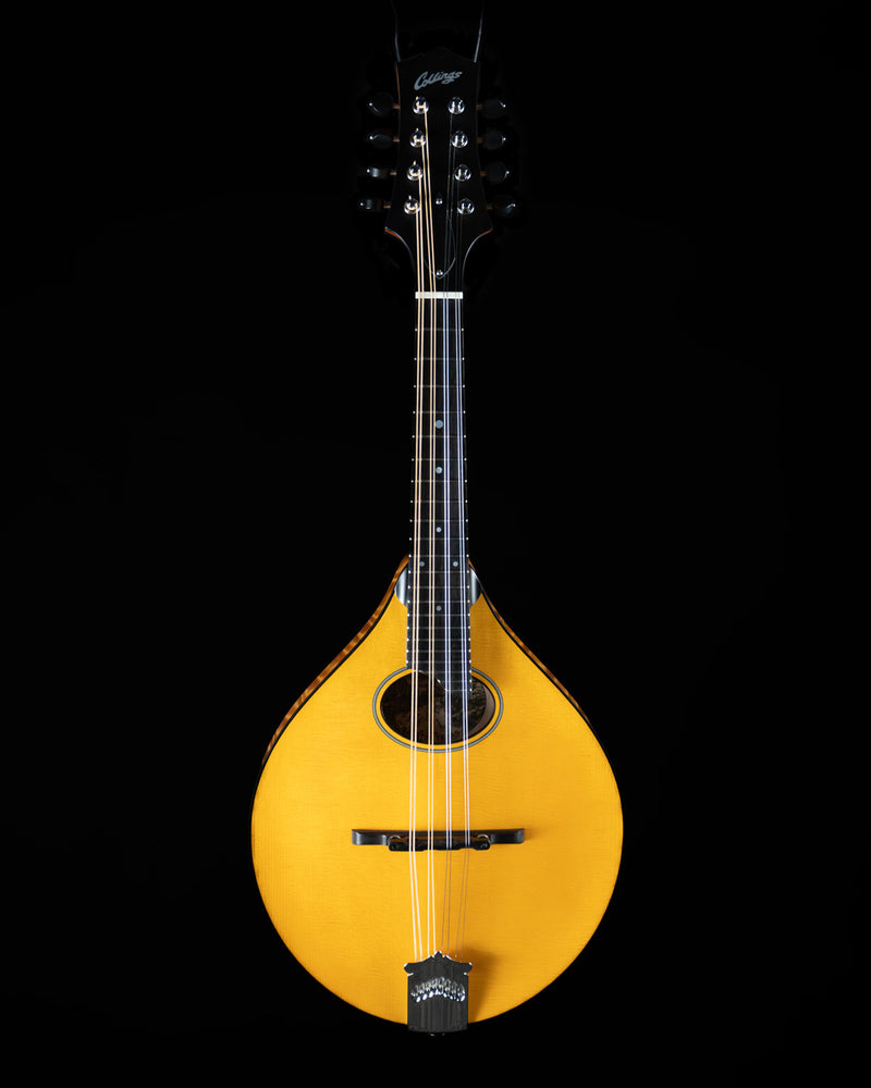 Collings MT-O, Oval Hole Mandolin, Engelmann Spruce, Maple, Amber Finish - NEW