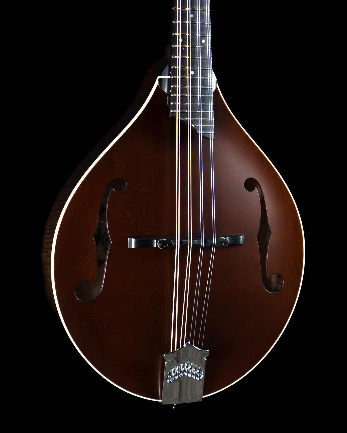 Collings MT Mandolin, Engelmann Spruce, Maple, Satin Finish - NEW Collings MT Mandolin, Engelmann Spruce, Maple, Satin Finish - NEW