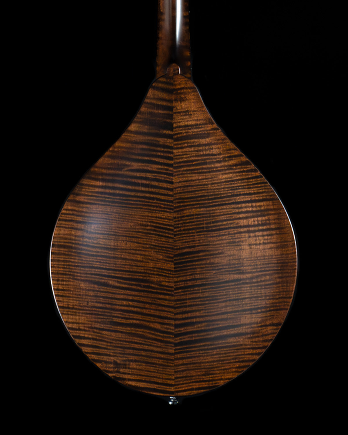 Collings MT Mandolin, Engelmann Spruce, Maple, Satin Finish - NEW Collings MT Mandolin, Engelmann Spruce, Maple, Satin Finish - NEW