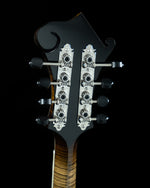 Northfield Big Mon, Italian Spruce, Flamed Maple Back, Wide Nut - NEW