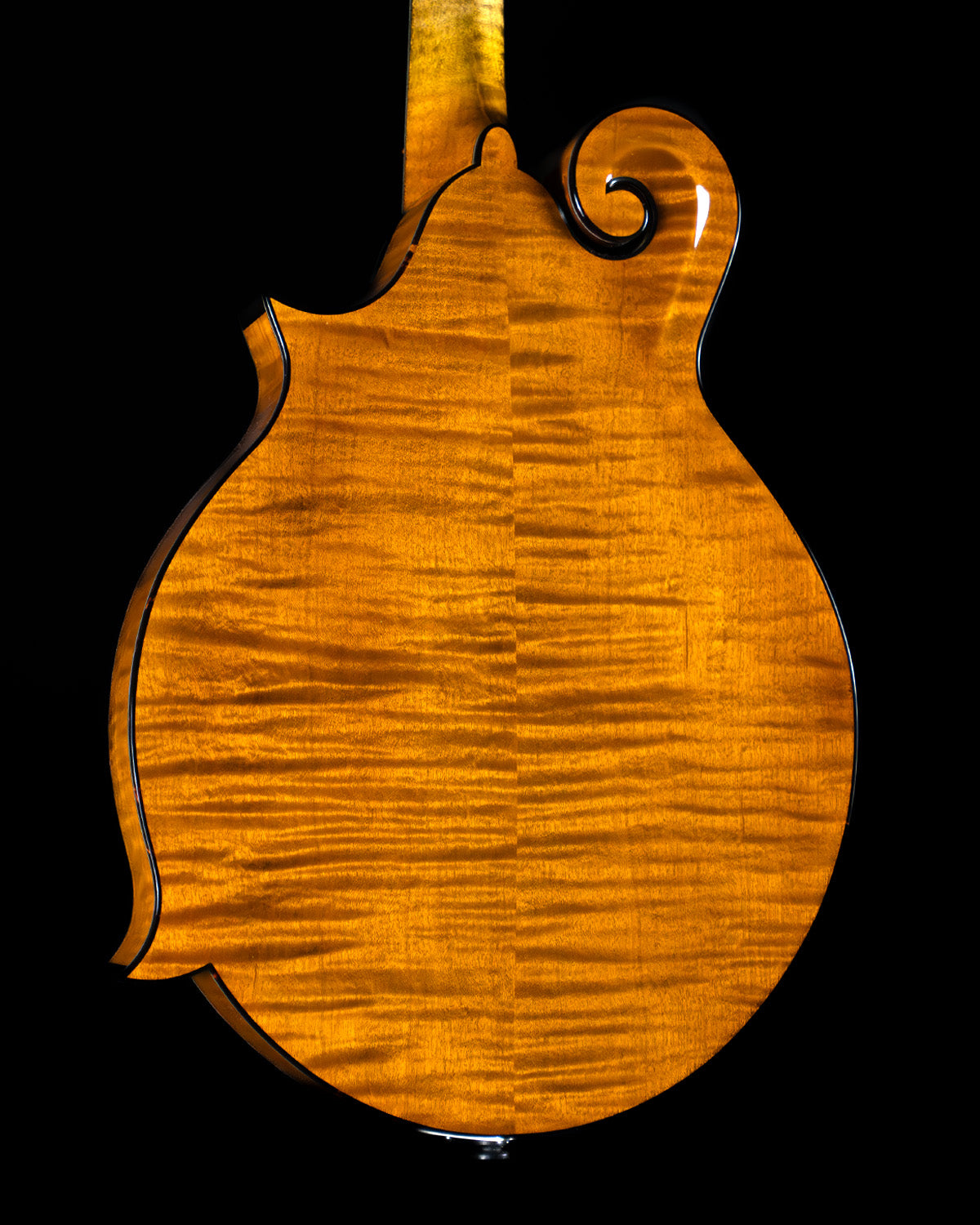 Northfield NFB-F5I, Big Mon, Italian Spruce, Maple - NEW