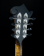 Northfield NFB-F5AWN, Big Mon, Adirondack Top, Maple B/S, Wide Nut - NEW