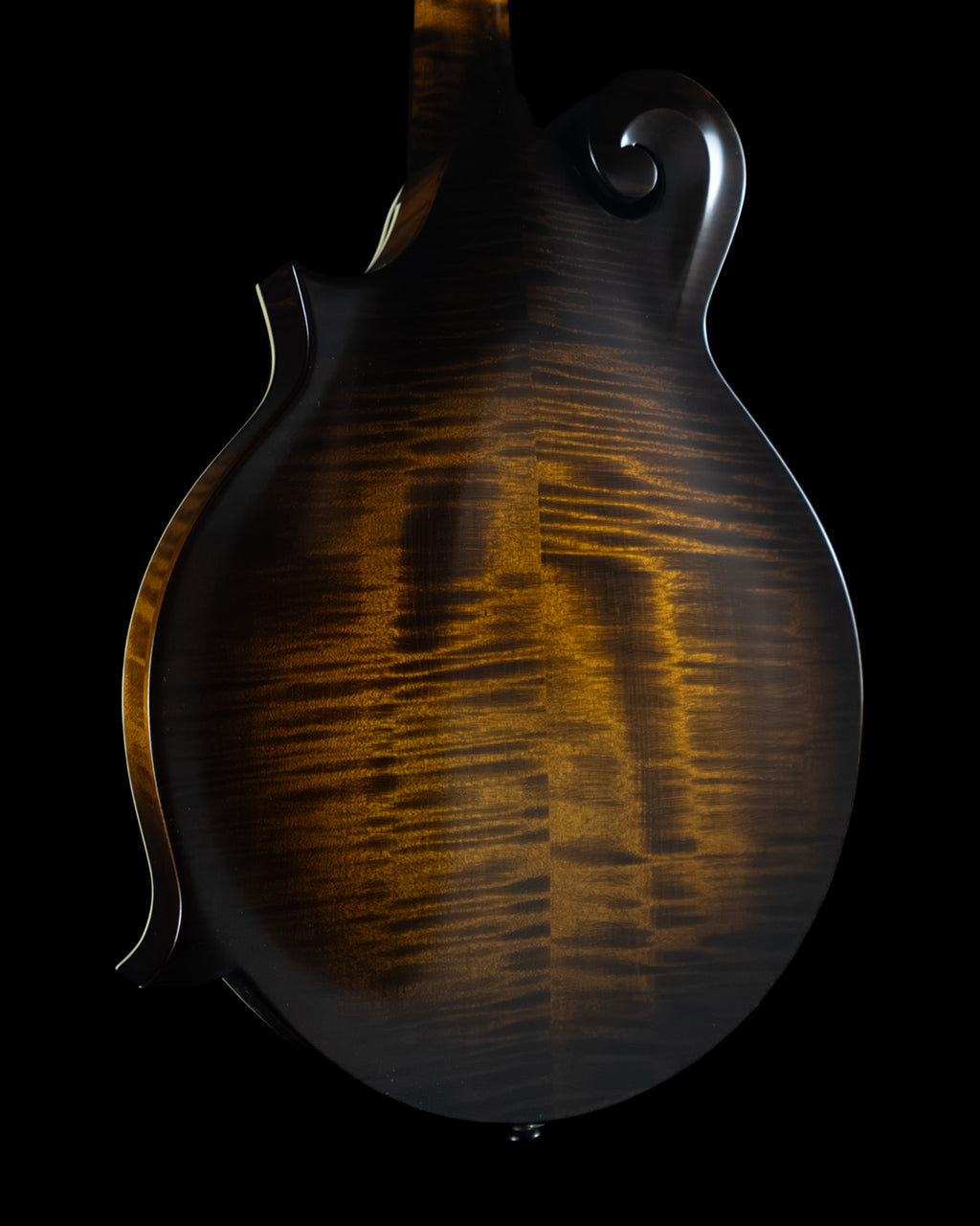Northfield NFS-F5, Adirondack Spruce, Maple - NEW