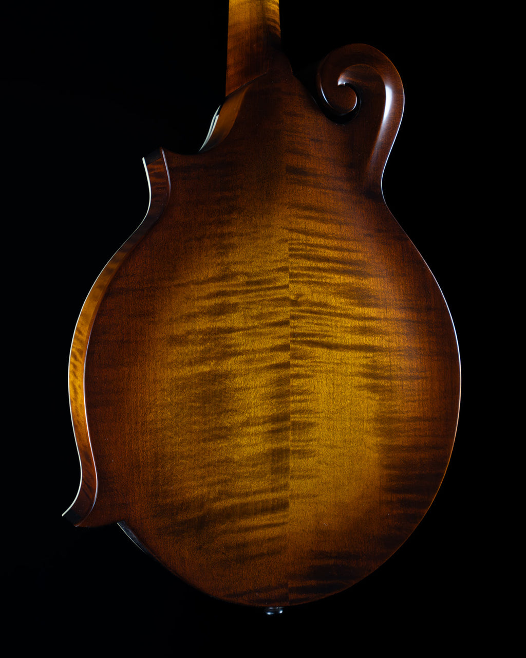 Northfield NFS-F2, Oval Hole, Adirondack Spruce, Figured Maple - NEW