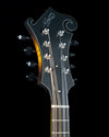 Northfield NFS-F5, Adirondack Spruce, Maple - NEW