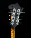 Northfield NFS-F5, Adirondack Spruce, Maple - NEW