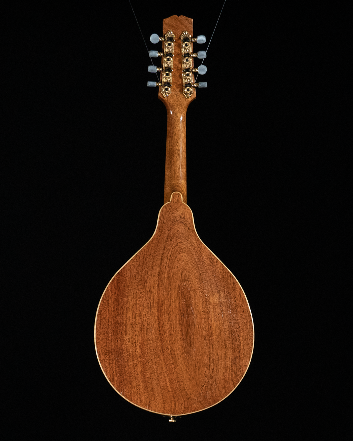 Old wave deals mandolin