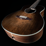 Eastman PCH2-TG Travel Size, Thermo-Cured Sitka, Laminated Rosewood - NEW - SOLD