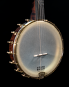 Pisgah Dobson Professional 11" Open-Back Banjo, Curly Maple, Short Scale - NEW - SOLD