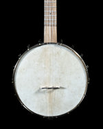 Pisgah Possum 11" Open-Back Banjo, Walnut, Goatskin Head - NEW - SOLD