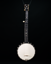 1890s S.S. Stewart Lady Stewart, Nylon String Open Back Banjo - USED