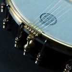 Pisgah Woodchuck 12" Open Back Banjo, Ash, Rolled Brass Tone Ring - NEW