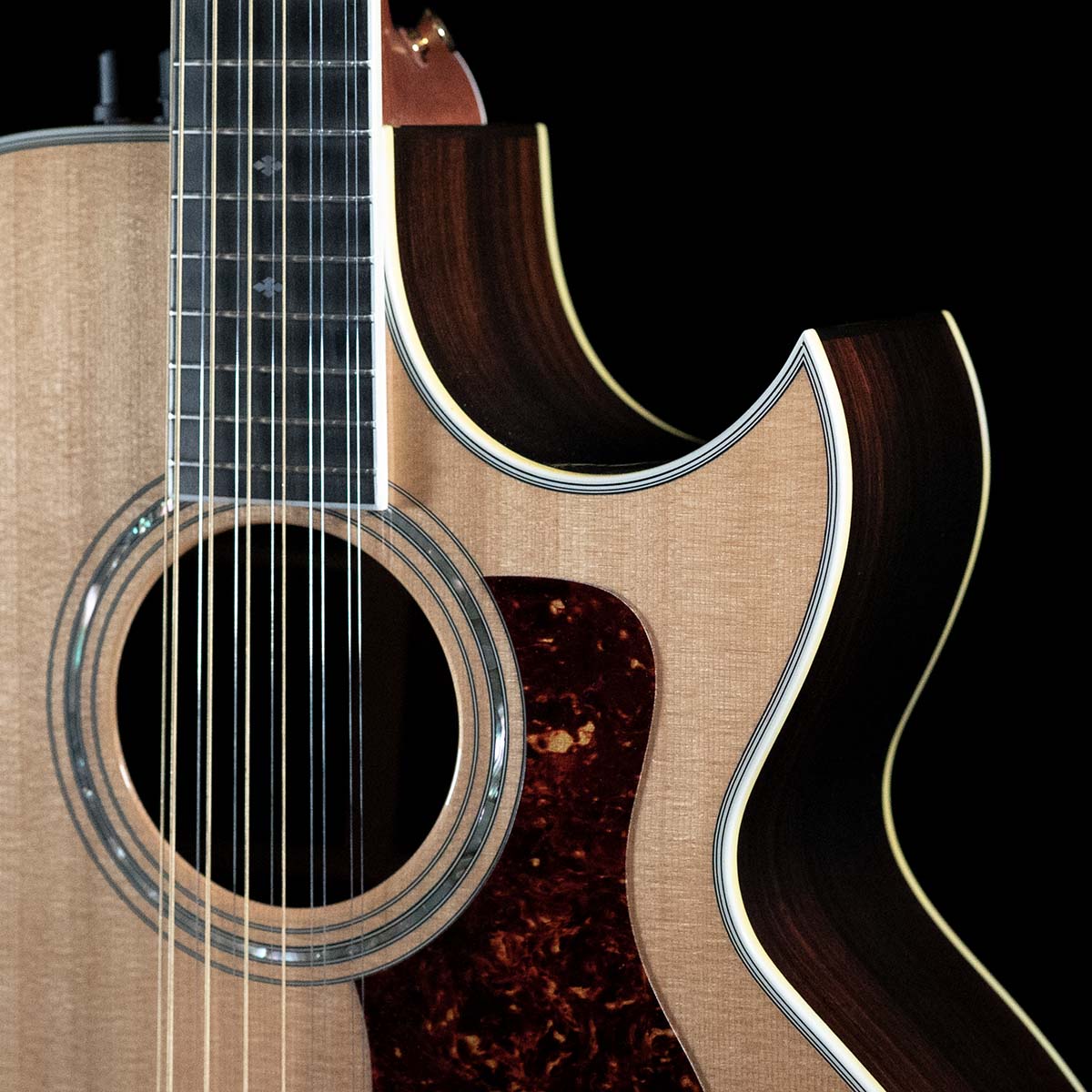 Taylor 855 deals 12 string